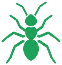 Ants